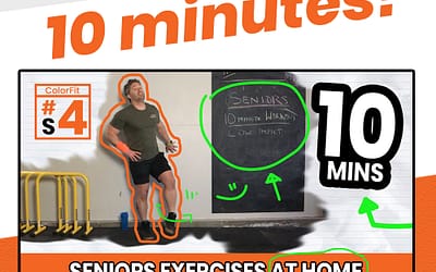 Seniors LOW IMPACT 10 Minute Home Workout